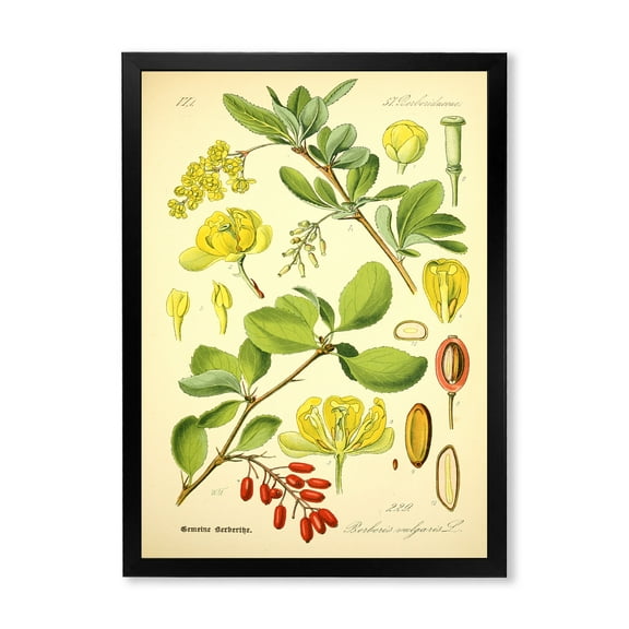 Designart 'Ancient Plant Life II' Traditional Framed Art Print