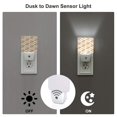 thumbnail image 3 of Naloa Dachshund Night Lights Plug into Wall, Dusk to Dawn Sensor Warm White Led Night Light 0.5W, Nightlight suit for Adults, Bedroom, Bathroom, Hallway, Kitchen, 3 of 5
