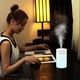 thumbnail image 5 of Minihumidificador portátil con luz LED nocturna de colores | 260 ml, alimentado por USB, para coche, dormitorio y oficina | Humidificador personal silencioso para piel y aire secos, 5 of 8