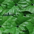 thumbnail image 3 of Pantalla de valla de privacidad artificial Valla de hojas de hiedra sintética (hojas de batata claras), 3 of 4