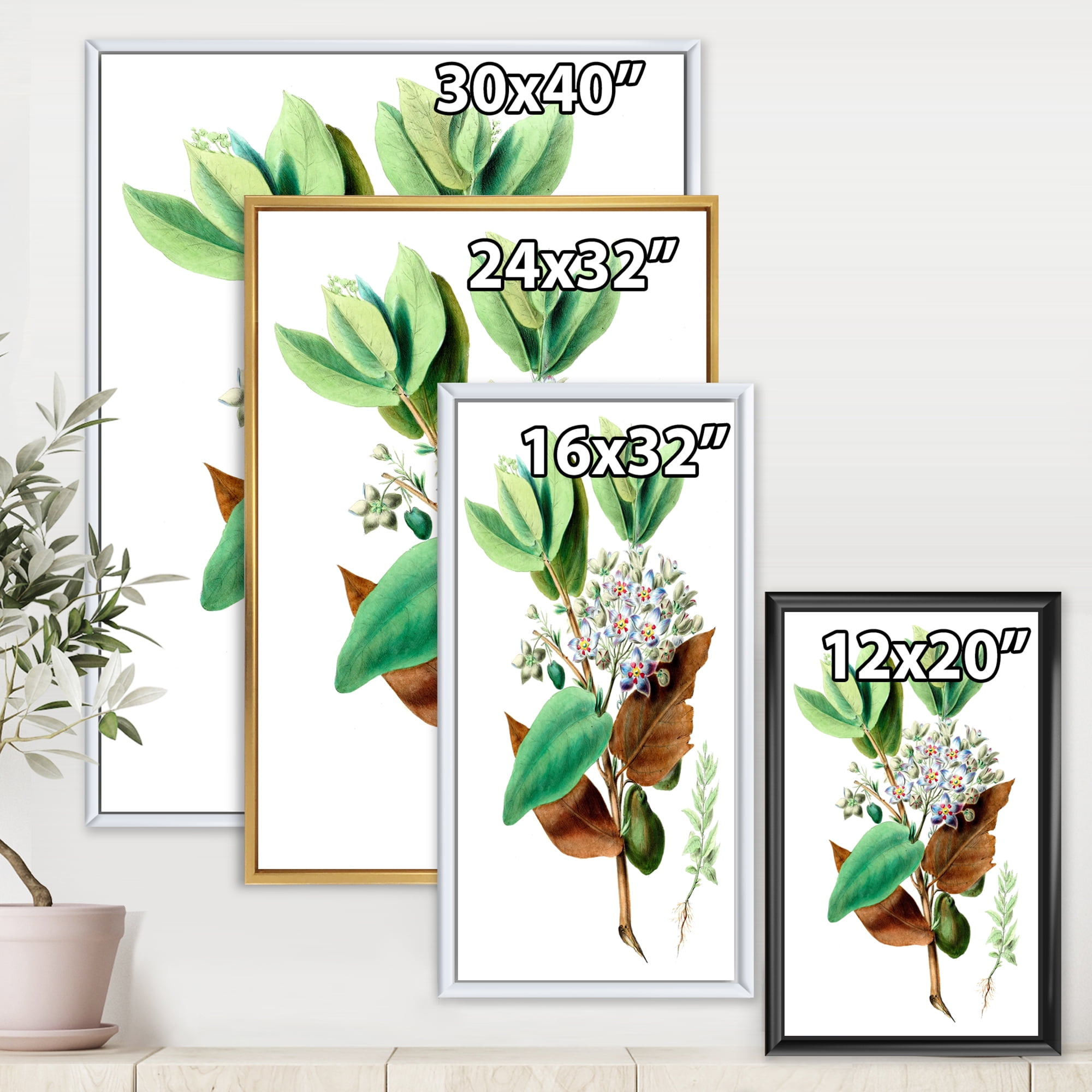 Ancient Plant Life XXVIII 12 in x 20 in Framed Painting Canvas Art Print, by Designart