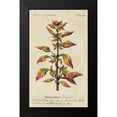 thumbnail image 2 of Unknown 12x18 Black Modern Framed Museum Art Print Titled - Gardeners Guide VI, 2 of 5