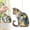 Q, variant on Office Desk Decor Detailed Resin Forest Animal Ornament Exquisite Craftsmanship for bookshelf decorative display.