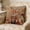 D, variant on Euaioeiu Cute Animal Pillow Cover Llama Fox Squirrel Embroidery Style Decorative Throw Cushion Cover Soft Accent Pillow for Living Room Sofa Bedroom Decor