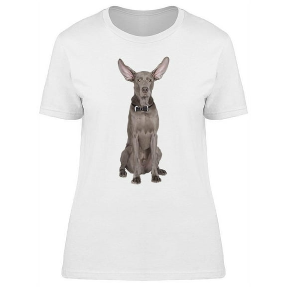 Weimaraner With Ears Up T-Shirt Women -Image by Shutterstock, Female x-Large