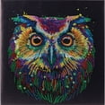 thumbnail image 1 of CA Kit (Medium) - Nocturnal Wonder, 1 of 1