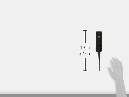 andis ultraedge bgrc 63700 stores