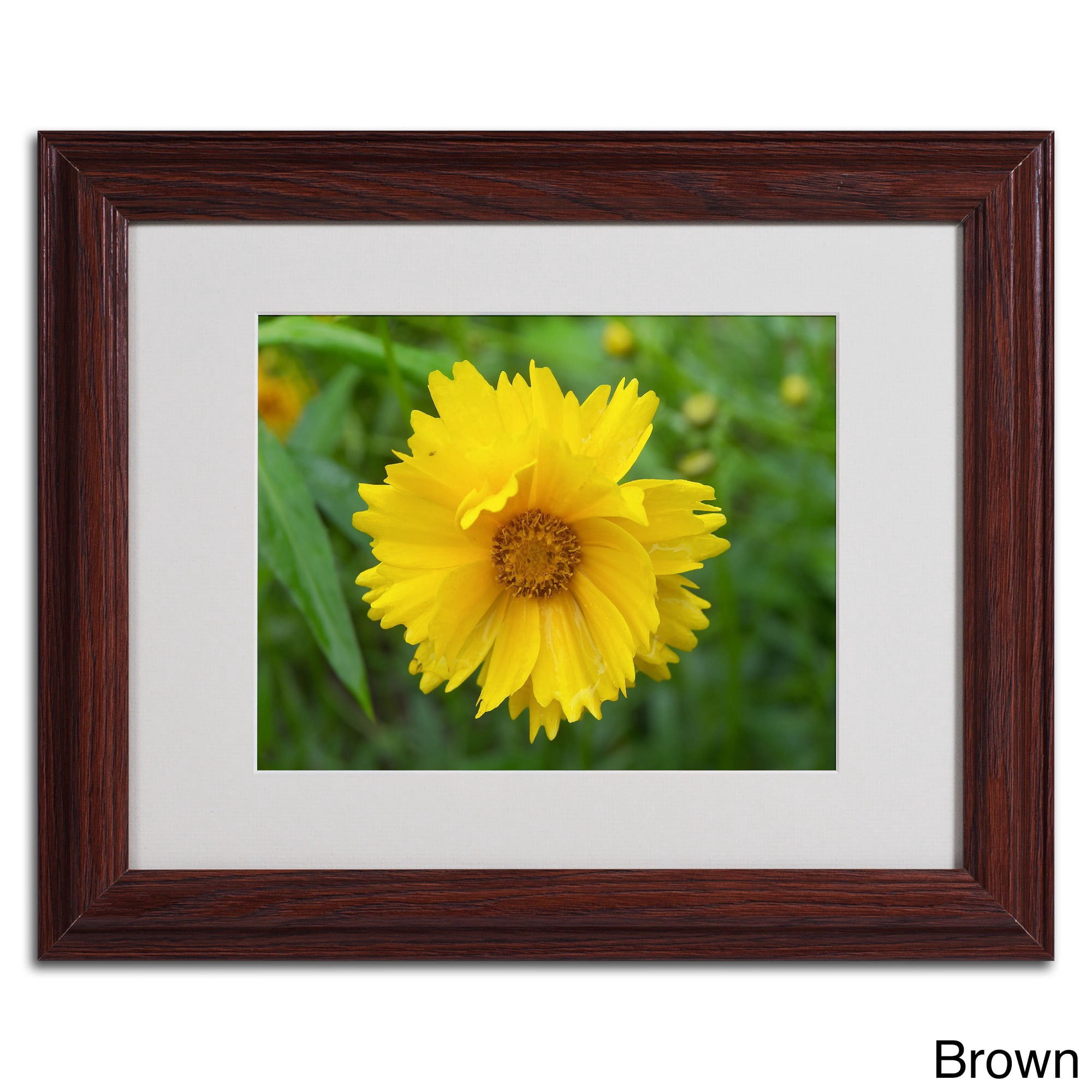 Trademark Fine Art "Purity" Canvas Art by Monica Fleet, White Matte, Black Frame