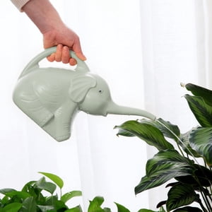 2L Long Mouth Watering Can Watering Can Household Green Potted Watering Can Long Watering Can Watering Can inside Watering Can Watering Can Spout Replacement Watering Spray Bottle 2L Long Mouth Watering Can Watering Can Household Green Potted Watering Can Long Watering Can Watering Can inside Watering Can Watering Can Spout Replacement Watering Spray Bottle