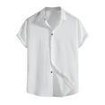 thumbnail image 1 of Men's Spring Summer Casual Solid Color Short Sleeve Shirt Loose Turn-down Collar Shirt2XL, 1 of 3