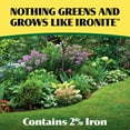 thumbnail image 4 of Ironite Plus Shrubs, Trees Plant Food Bag Granular 12-10-10 3lb, 4 of 7