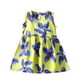 thumbnail image 1 of Odeerbi Niñas Verano Algodón Vestido Tanque Floral Vestido Sol Sin Mangas A-Vestido Sin Mangas de Princesa, 1 of 3