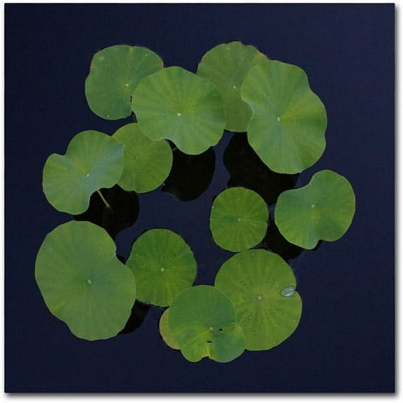 Trademark Fine Art "Giant Lily Pad Abstract" Canvas Art by Kurt Shaffer