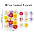 thumbnail image 6 of Bookmarks, Transparent Dried Flower Bookmarks, DIY Bookmarks Craft Set with 20Pcs Pressed Flowers, 20Pcs Clear Glassware Stickers (E), 6 of 6