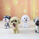 thumbnail image 3 of Bobble Head Dogs Modelo Juguetes para decoración de Zulema Resina Bobble Head Dog, 3 of 8