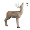 Rinehart Targets 129 Browsing Buck Self Healing Deer Archery Hunting Target