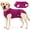 Red, variant on Amztom Dog Recovery Suit, Breathable Cotton Post-Surgery Onesie with Double-Layer Abdominal Protection, Adjustable Elastic Waist, Back Snaps, Gray, M