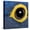 Canvas, variant on Art.com Hyacinth Macaw, 1 Year Old, Close Up On Eye Photographic Print by Life on White, 24" x 24"