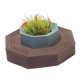 thumbnail image 4 of Modelo de terraza CUTICAT 1:64 Micro paisaje adorno de escritorio Estilo A, 4 of 8