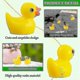 thumbnail image 3 of 200pcs Mini Yellow Ducks Ducklings Tiny Duckies Garden Landscape Aquarium Dollhouse Potted Plants Decoration 7color, 3 of 5