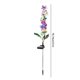 thumbnail image 2 of Luces solares para exteriores Delphinium Luces LED solares impermeables para jardín IP65 (4 piezas), 2 of 9