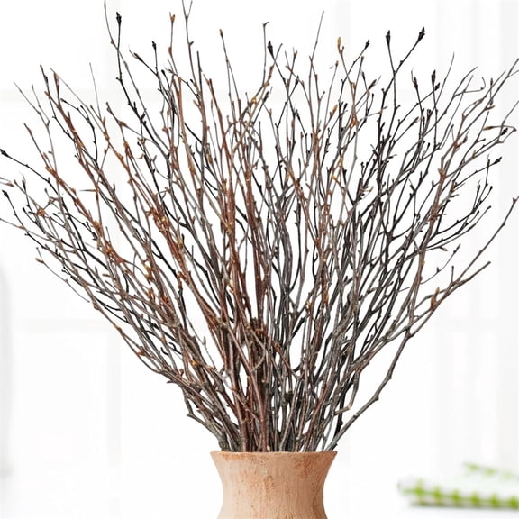18in Birch Twigs Natural Dried Birch Branches Decorative Birch Sticks for Vase DIY Centerpiece Wedding Party Supplies Home Ornament, 20Pcs, QZS