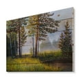 thumbnail image 2 of Designart 'Subtle Sunset Light Through The Trees III' Lake House Print on Natural Pine Wood, 2 of 5