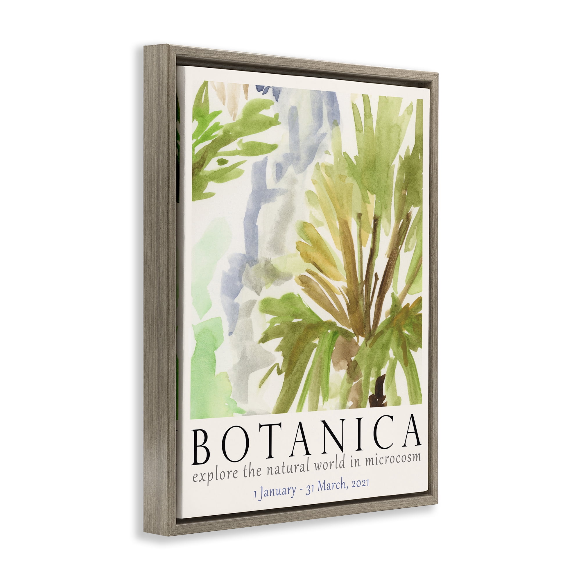 Stupell Industries Botanica Museum Poster Plants & Flowers Painting Brown Floater Framed Canvas Art Print Wall Art, 25 x 31