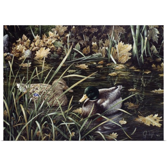 Great BIG Canvas | Rolled Jeff Tift Poster Print entitled Mallards