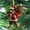 D, variant on Christmas Sasquatch Ornament with Hanging, Wildlifes Wonders Collection Ornament, Christmas tree decoration,