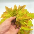 thumbnail image 4 of 50Pcs Simulated Maple Leaf, 3.9" x 3.5" Autumn Fall Artificial Leaves for Wedding Party Thanksgiving Decorations Table Room Home Decor Photography Props,Style 1, 4 of 6