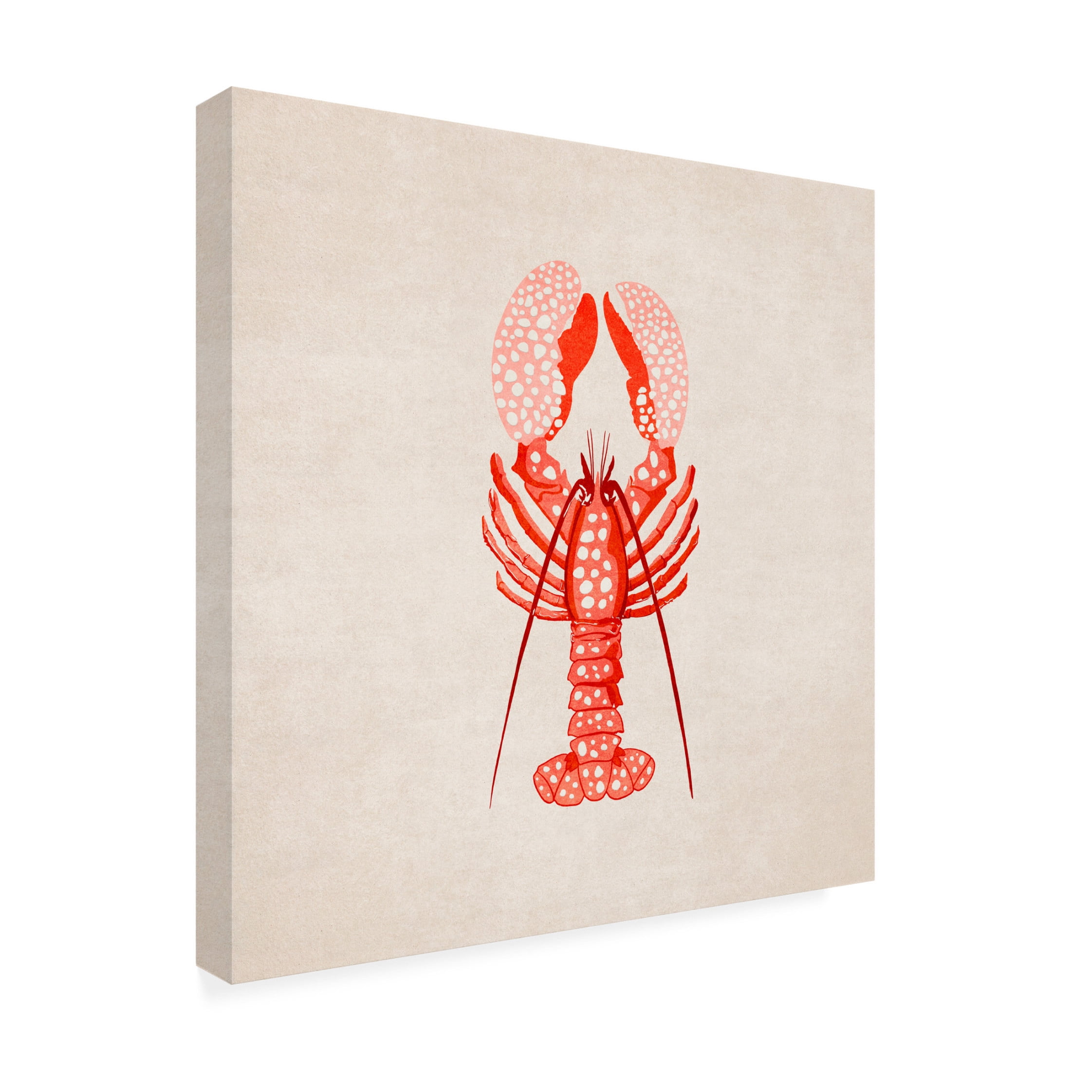 Trademark Fine Art Emel Tunaboylu  Istakoz Canvas Wall Art