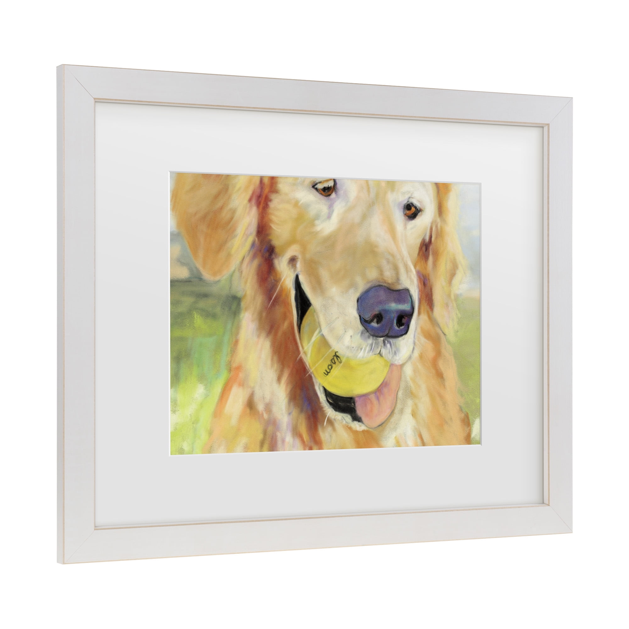 Trademark Fine Art 'Gus' Canvas Art by Pat Saunders-White
