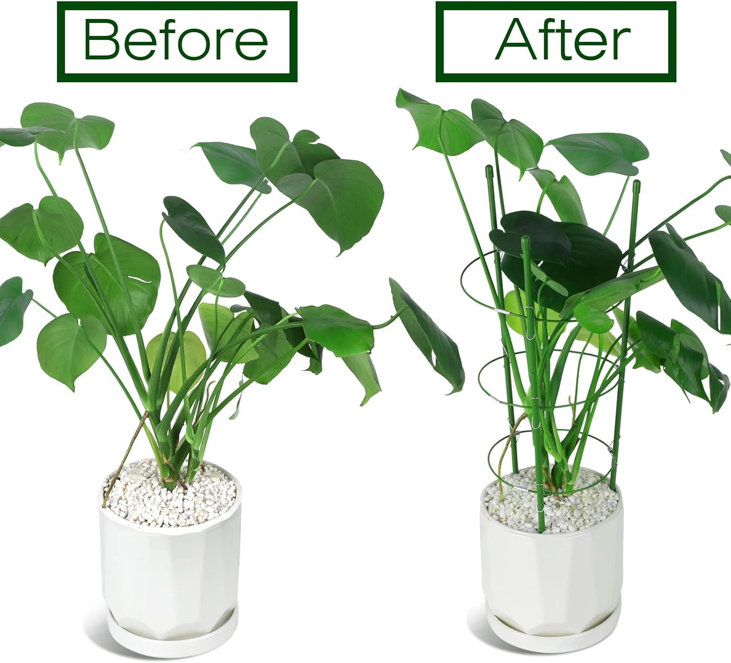 2 Pack Plant Support Cage Rust Resistant Garden Ring Stake Plant Support for Tomato, Trellis, Climbing Plant, Flower, Small Plant Cages for Small Plants,17.7" H
