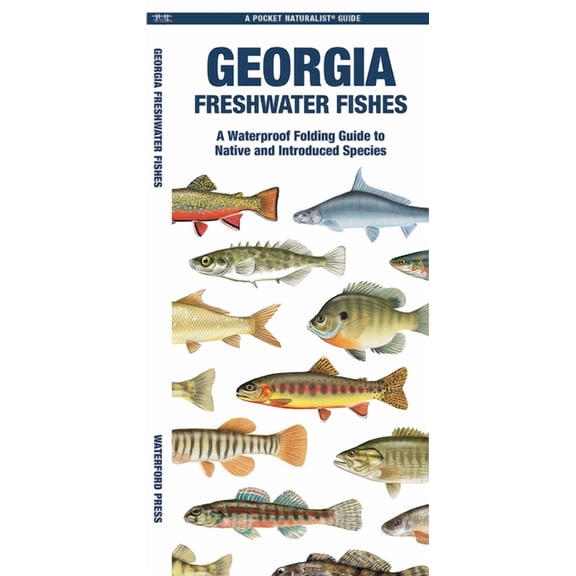 A Pocket Naturalist Guide: Georgia Freshwater Fishes : A Waterproof Folding Guide to Native and Introduced Species (Other)