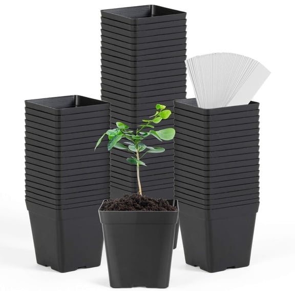 Square Nursery Pots 3.3 Inches Flexible Plastic Seedling Pots Square Pots for Plants, Succulent, Flower, Pack of 60, with 60 PCS Plant Labels