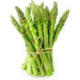 Jersey Knight Live Asparagus Bare Root Plants 2yr Crowns Easy to