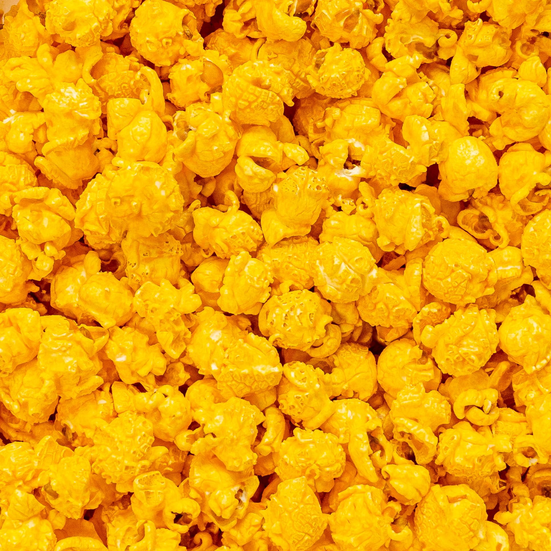 Colby Ridge Cheddar Cheese Gourmet Craft Popped Gluten Free Popcorn Bulk Sized Large Gift Bash Bags (Bulk 18 Gal. 288 Cups.)