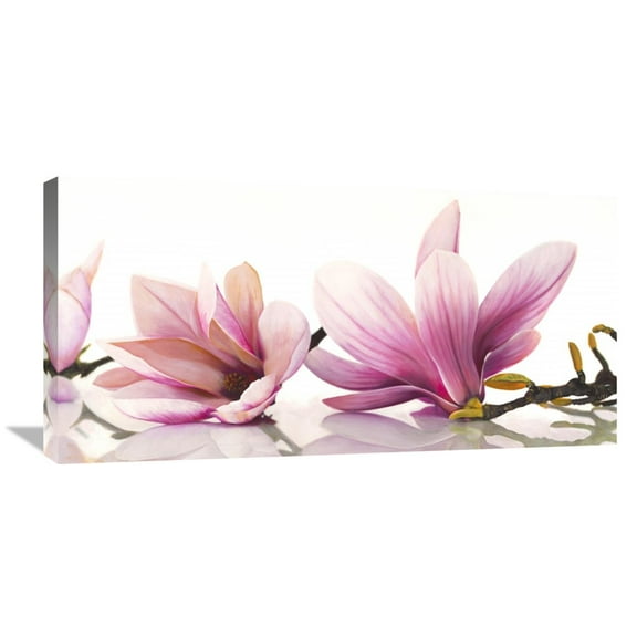 Global Gallery Cynthia Ann 'Magnolia' Canvas Wall Art