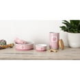 thumbnail image 5 of Bone Dry Chevron Ceramic Pet Bowls, Dishwasher Safe, Rose, Small Bowl Set, 4.25x2", 2 Count, 5 of 5