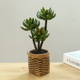 thumbnail image 4 of Suculentas artificiales, bonsáis, muebles creativos para el hogar, plantas verdes artificiales, plantas en macetas., 4 of 5