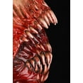 thumbnail image 2 of Adult Frenzy Mask - Immortal Masks, 2 of 7
