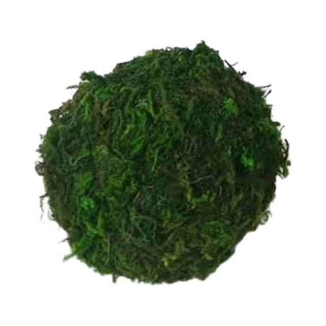 Greeniant Adiciones coloridas, animales pequeños, pelotas de juego para diversión sin fin, masticar hierbas, bolas, juguetes para masticar Juguetes de animales pequeños bola de musgo 7cm