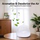 thumbnail image 4 of Veniva Air Purifier - Water Filter Air Purifiers for Home Office with LED Light, 4 of 5