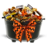 Alder Creek Gift Baskets Halloween Witches Caldron of Treats Gift Basket (31 Pieces per Gift)