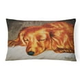 thumbnail image 1 of Carolines Treasures AMB1202PW1216 Coussin Décoratif en Tissu Rouge Longhaired Dachshund, 1 of 3