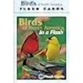 thumbnail image 3 of Impact Photographics IMP2FLC Flash Cards Birds North American, 3 of 3