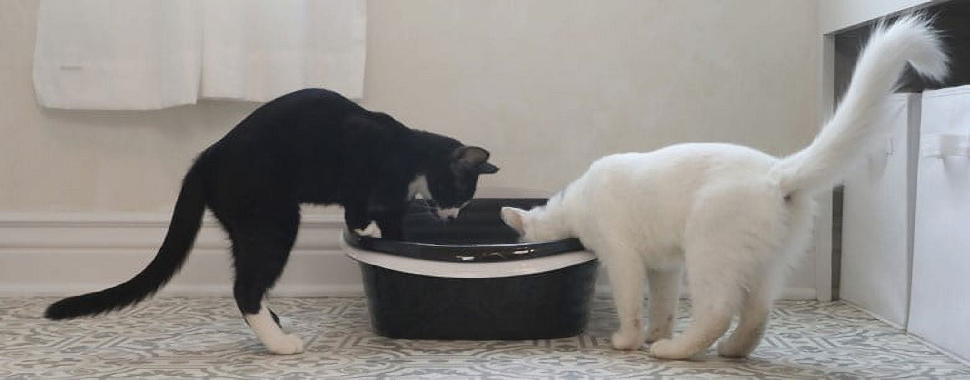 Vibrant Life Sifting Cat Litter Box with 2 Open Top Plastic Pans and Sifting Tray, Large, Black