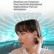 KZ EDX Pro in Ear Monitors with Microphone KZ IEM Earphones Dual DD HiFi Stereo Sound Wired Earphones Noise Cancelling Earbuds for Musicians Singer Audiophiles (Black, with Mic)