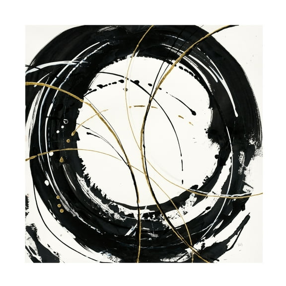 Trademark Fine Art 'Circular Web' Canvas Art by Chris Paschke